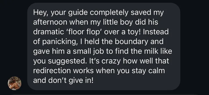 Instagram message: the floor flop over a toy